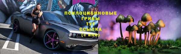 а пвп мука Верхний Тагил